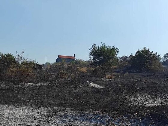 Φωτογραφία από την επόμενη ημέρα της φωτιάς στην περιοχή Κοτρωνιά του δήμου Σουφλίου.