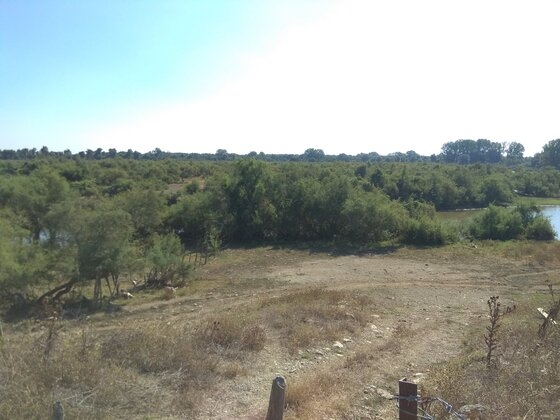 Ξεκινούν οι εργασίες σε περιοχές του Δέλτα του Έβρου.