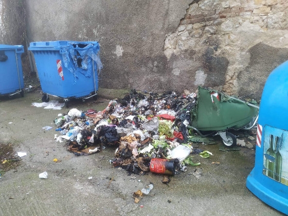 Αυτή είναι η κατάσταση στα σκουπίδια σε περιοχή του δήμου Σουφλίου.